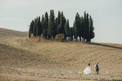 Barnet kopplar ihop förälskad det fria i Tuscany arkivbild Barnet kopplar ihop förälskad det fria i Tuscany arkivbild