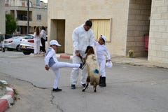 Barnsamaritfolk på det traditionella påskhögtidoffret i monteringen Gerizim nära staden för västra bank av det Nablus ISRAEL lamm royaltyfria foton Barnsamaritfolk på det traditionella påskhögtidoffret i monteringen Gerizim nära staden för västra bank av det Nablus ISRAEL lamm royaltyfria foton