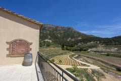 Barril de vino en el fondo del valle de viñedos y de montañas fotografía de archivo libre de regalías Barril de vino en el fondo del valle de viñedos y de montañas fotografía de archivo libre de regalías