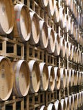 Barriles de vino Barriles de vino