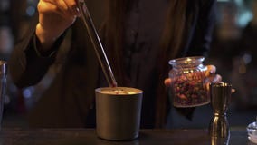 Bartender γυναίκα που κάνει τη διακόσμηση του φλυτζανιού μετάλλων με το ποτό με τα ξηρά rosebuts απόθεμα βίντεο Bartender γυναίκα που κάνει τη διακόσμηση του φλυτζανιού μετάλλων με το ποτό με τα ξηρά rosebuts απόθεμα βίντεο