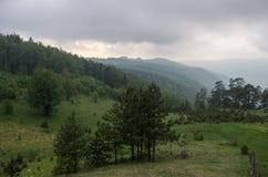 Bas nuages au-dessus de forêt dans le secteur de montagne de Zlatibor photos libres de droits Bas nuages au-dessus de forêt dans le secteur de montagne de Zlatibor photos libres de droits