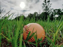 Base-ball dans la cour photographie stock Base-ball dans la cour photographie stock