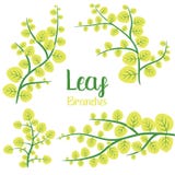 Leaf branches vector design illustration isolated on white background royalty free illustration Leaf branches vector design illustration isolated on white background royalty free illustration