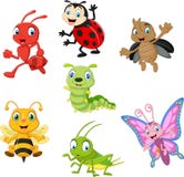 Cartoon funny insect collection set