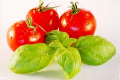 Basil And Tomatoes Royalty Free Stock Photography Basil And Tomatoes Royalty Free Stock Photography