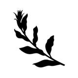 Basil Leaves illustration de vecteur Basil Leaves illustration de vecteur