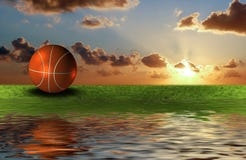 Basket Ball On The Green Grass Basket Ball On The Green Grass