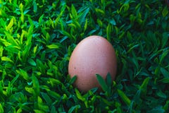 Basket of easter eggs stock image Basket of easter eggs stock image