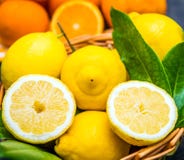 Basket full of fresh lemon Royalty Free Stock Images Basket full of fresh lemon Royalty Free Stock Images