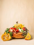 Basket with organic harvest vegetables and pumpkin from garden. Autumn seasonal food stock photos Basket with organic harvest vegetables and pumpkin from garden. Autumn seasonal food stock photos