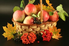 Basket With Apples Stock Photo