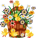 Basket With Flowers And Ducklings Stock Images