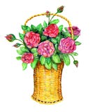Basket With Red Roses Royalty Free Stock Photo Basket With Red Roses Royalty Free Stock Photo