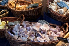 Baskets of mushrooms for sale at a market stock images Baskets of mushrooms for sale at a market stock images