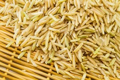 Basmati Rice Royalty Free Stock Image Basmati Rice Royalty Free Stock Image