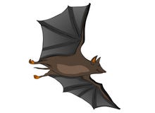 'bat' illustration stock 'bat' illustration stock
