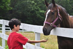 Bauernhof-Besuch Bauernhof-Besuch