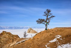 Baum von Wünschen auf Ufer vom gefrorenen Baikalsee lizenzfreie stockbilder Baum von Wünschen auf Ufer vom gefrorenen Baikalsee lizenzfreie stockbilder