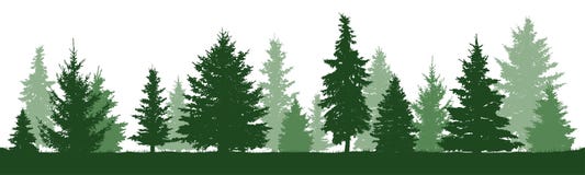 Baumkiefer, Tanne, Fichte, Weihnachtsbaum Getrennt stock abbildung Baumkiefer, Tanne, Fichte, Weihnachtsbaum Getrennt stock abbildung