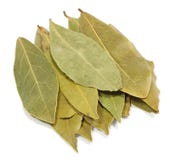 Bay Leaves Stock Image