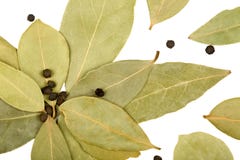 Bay Leaves And Black Peppercorns Stock Images