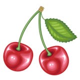 Baya roja hermosa madura Cereza sabrosa, dulce jugosa, una fuente de vitaminas útiles y oligoelementos Ilustraci?n del vector libre illustration Baya roja hermosa madura Cereza sabrosa, dulce jugosa, una fuente de vitaminas útiles y oligoelementos Ilustraci?n del vector libre illustration