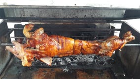 Closed up BBQ grilled pork on fire ready to dinner Stock Photos Closed up BBQ grilled pork on fire ready to dinner Stock Photos