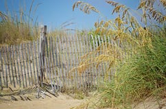 Beach fence in the sea grass royalty free stock photo Beach fence in the sea grass royalty free stock photo