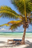 Beach Lounge Chairs Under Palm Tree Leaves At The Shore Of India Royalty Free Stock Images