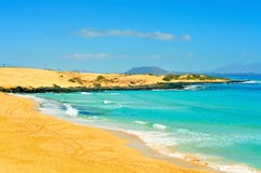 Beach in Natural Park of Dunes of Corralejo in Fuerteventura royalty free stock photos Beach in Natural Park of Dunes of Corralejo in Fuerteventura royalty free stock photos