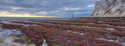Beachy Head Light from the beach on an autumn evening sunset with HDR processing, East Sussex, UK royalty free stock photos Beachy Head Light from the beach on an autumn evening sunset with HDR processing, East Sussex, UK royalty free stock photos