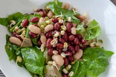Bean salad with vitamins. Salad with spinach, arugula, avocado royalty free stock photo Bean salad with vitamins. Salad with spinach, arugula, avocado royalty free stock photo