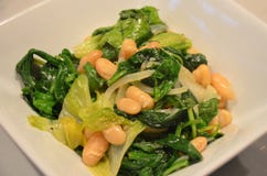 Bean Salads delizioso Immagini Stock Libere da Diritti Bean Salads delizioso Immagini Stock Libere da Diritti