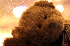 Bear Doll Face Close Up, Face Teddy Bear, The Image Of Loneliness Selective Focus Stock Photography