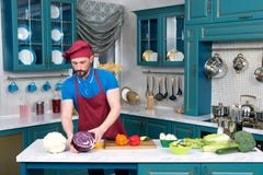 Bearded guy Cook in apron and cap. Chef cutting red cabbage for dinner stock images Bearded guy Cook in apron and cap. Chef cutting red cabbage for dinner stock images