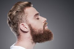 Bearded handsome. Royalty Free Stock Photo Bearded handsome. Royalty Free Stock Photo
