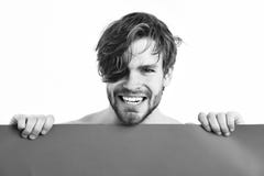 Bearded man, caucasian amused macho royalty free stock photo Bearded man, caucasian amused macho royalty free stock photo