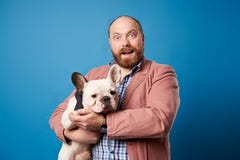 Bearded man with french bulldog in arms on empty blue background.