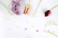 Beau bouquet des fleurs dans le vase d'isolement photo stock Beau bouquet des fleurs dans le vase d'isolement photo stock
