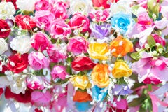 Beau groupe de fleurs Fleurs colorées pour épouser et escroquerie image libre de droits Beau groupe de fleurs Fleurs colorées pour épouser et escroquerie image libre de droits