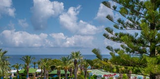 Beau littoral tropical avec de l'eau les palmiers et bleu clair photos stock Beau littoral tropical avec de l'eau les palmiers et bleu clair photos stock