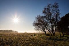 Beau matin ensoleillé au-dessus de champ en hiver avec le puits d'eau sous l'arbre sans feuilles images stock Beau matin ensoleillé au-dessus de champ en hiver avec le puits d'eau sous l'arbre sans feuilles images stock