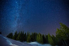Beau paysage d'un ciel étoilé d'hiver de nuit au-dessus de forêt de pin, de longue photo d'exposition des étoiles de minuit et de photo stock Beau paysage d'un ciel étoilé d'hiver de nuit au-dessus de forêt de pin, de longue photo d'exposition des étoiles de minuit et de photo stock