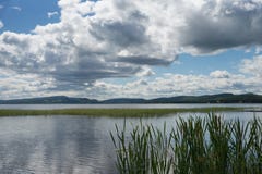 Beau paysage de l'eau avec les nuages et le jonc dans un grand lac Photos stock Beau paysage de l'eau avec les nuages et le jonc dans un grand lac Photos stock