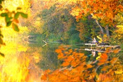 Beau paysage lumineux d'automne avec des arbres et un pêcheur sur une rivière Images libres de droits Beau paysage lumineux d'automne avec des arbres et un pêcheur sur une rivière Images libres de droits