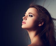Beau profil de femme de maquillage avec de longs cheveux recherchant avec ho photographie stock Beau profil de femme de maquillage avec de longs cheveux recherchant avec ho photographie stock