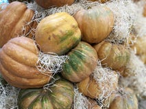 Beaucoup de potirons sur un marché d'agriculteurs photos stock Beaucoup de potirons sur un marché d'agriculteurs photos stock