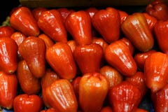 Beaucoup pomme de Rose, en Thaïlande image libre de droits Beaucoup pomme de Rose, en Thaïlande image libre de droits