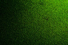 Beautiful abstract texture tree leaf green white and black wall pattern background and wallpaper royalty free stock image Beautiful abstract texture tree leaf green white and black wall pattern background and wallpaper royalty free stock image